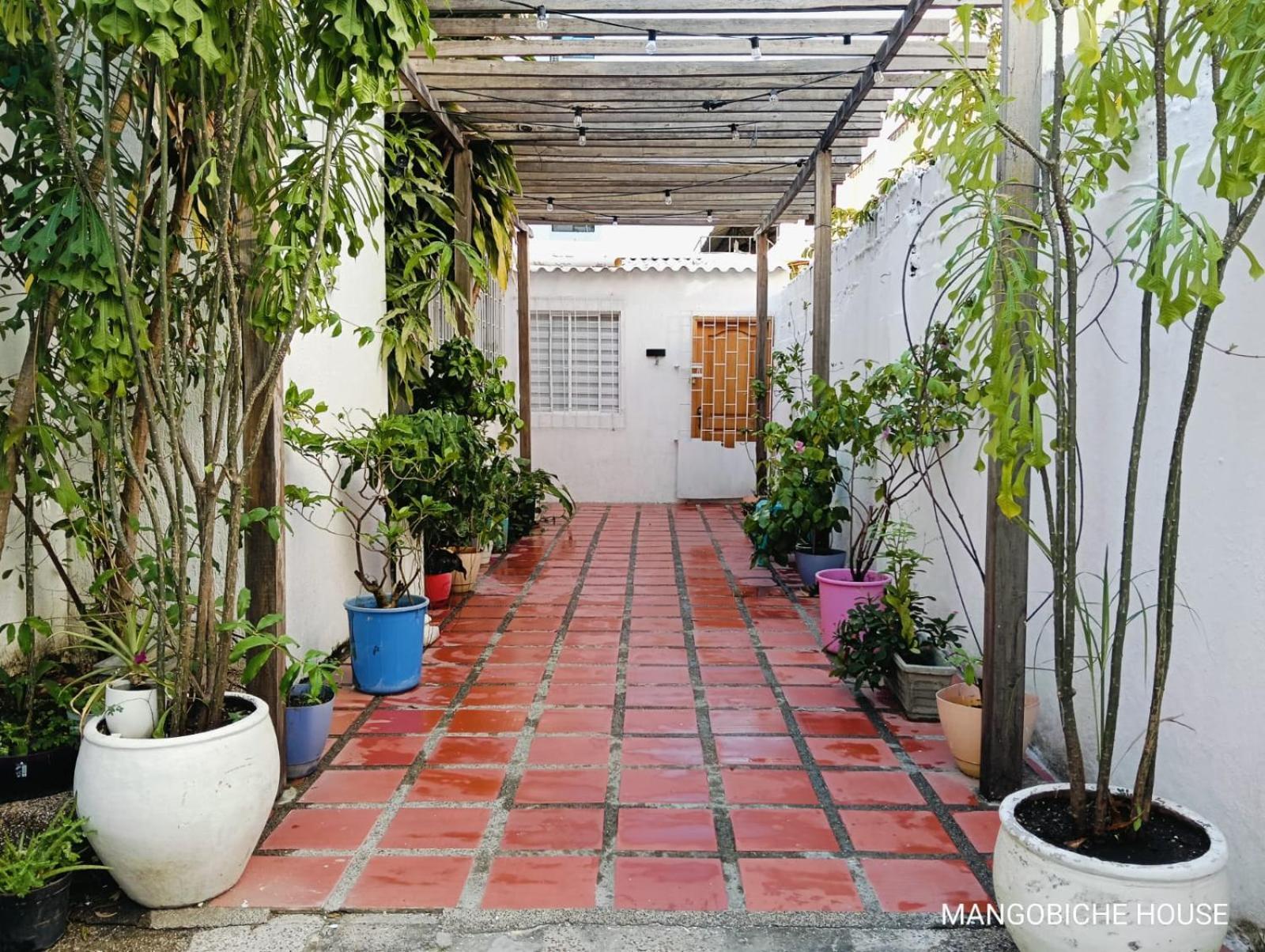 Bed and Breakfast Mango Biche - House Cartagena Exterior foto